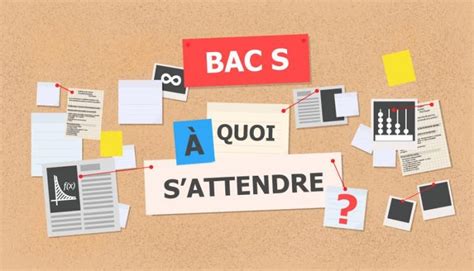 bac es lv renf|Bac ES 2020 : l’épreuve de langues vivantes (LV1 et LV2), à quoi .